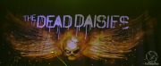 TheDeadDaisies